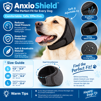 AnxioShield Calm his anxiety.