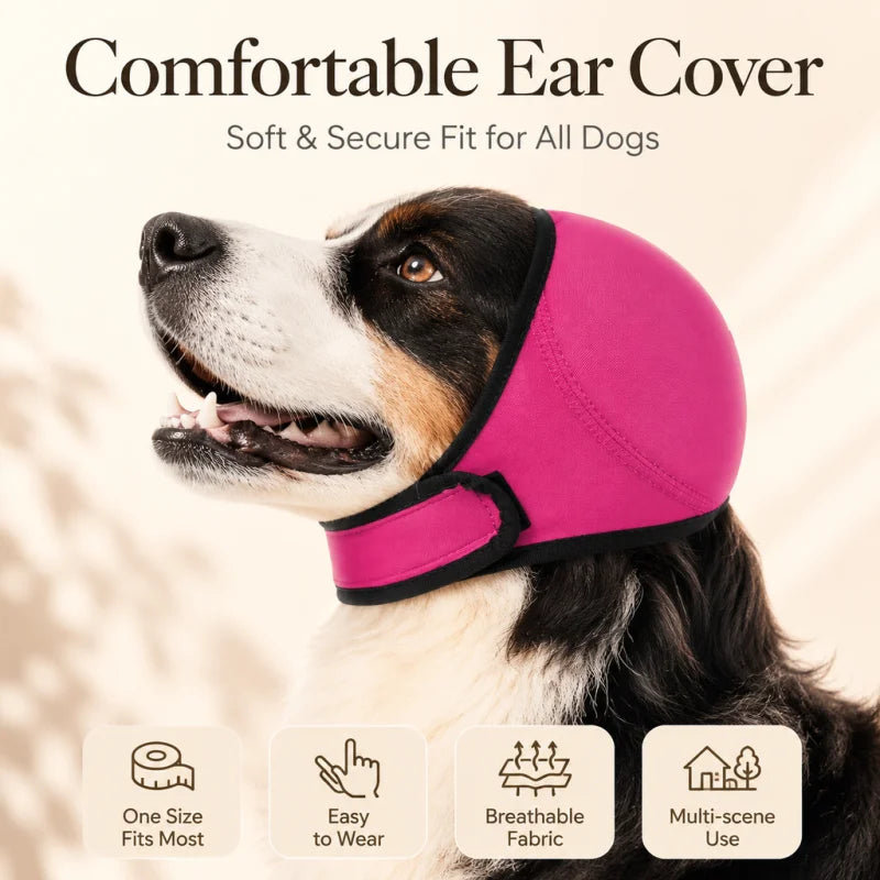 AnxioShield