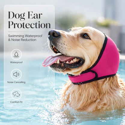 AnxioShield