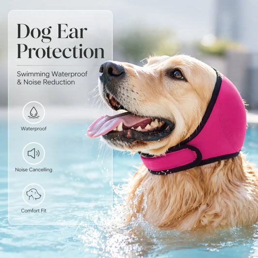 AnxioShield