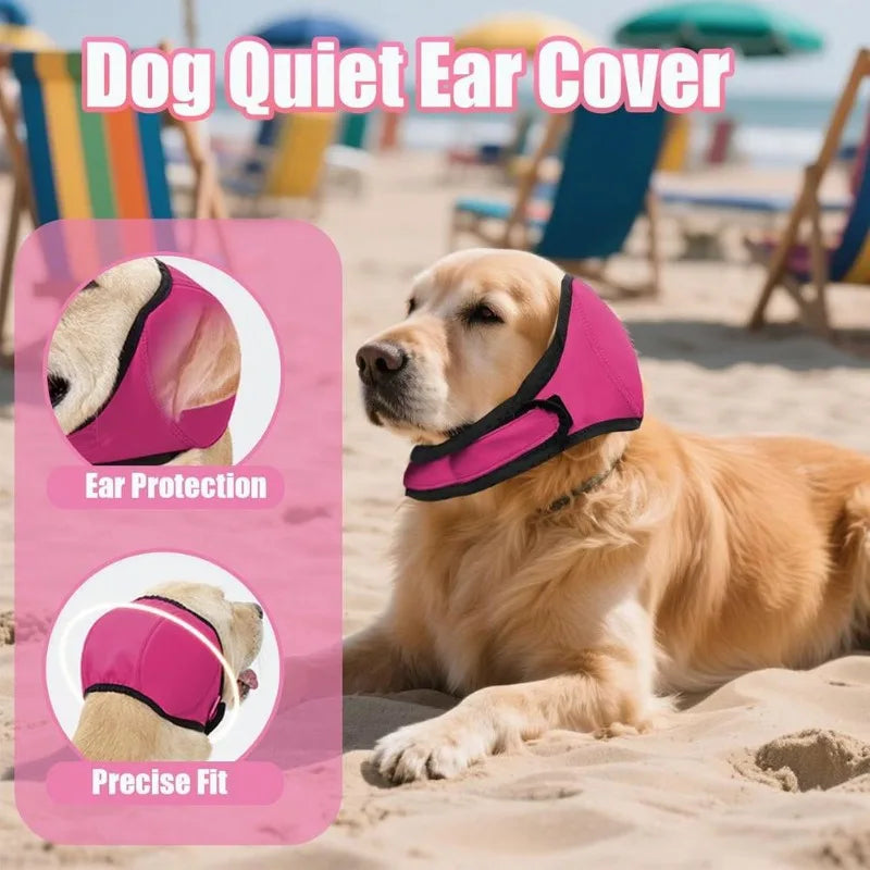 AnxioShield